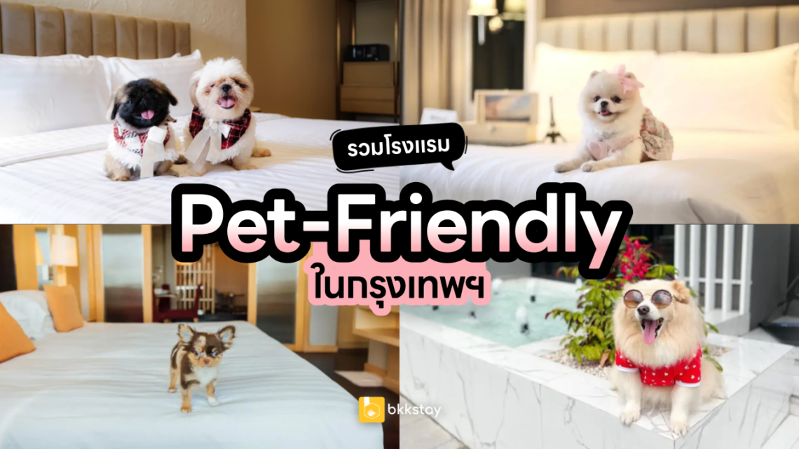 โรงแรม Pet-Friendly ในกรุงเทพฯ สัตว์เลี้ยงเข้าพักได้